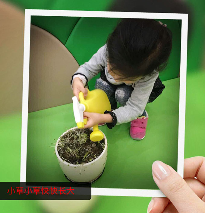 寶寶愛綠色，親手來種植----嬰智貝佳小小花匠活動(dòng)集錦